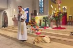 KSEH: Patronatsgottesdienst mit Hamster, Hund und Vogel