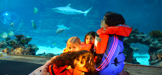 "Jona und der Wal" im Tropen-Aquarium