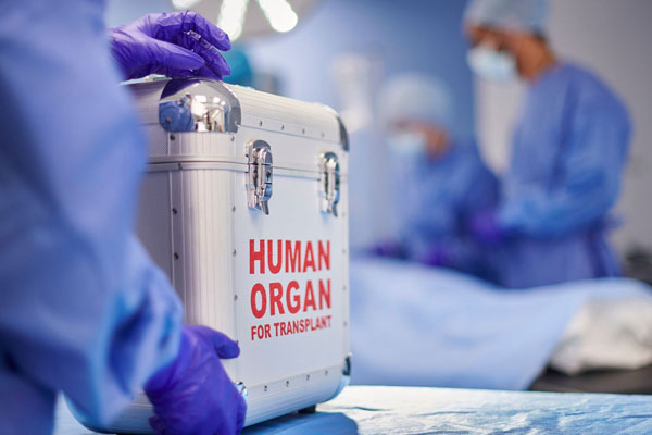 „Leben hier, Tod da – so einfach ist es für Betroffene nicht“ – mit dieser Zuspitzung eröffnete Journalist und Filmemacher Ingo Thöne die Diskussionsveranstaltung „Leben schenken? Die moralische Frage nach der Organspende“, die jetzt an der Sophie-Barat-Schule stattfand. Eingeladen hatte das Profil „Mensch und Verantwortung“ gemeinsam mit Lehrerin Martina Klinge.